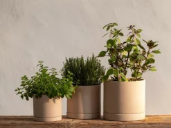 Grüne Erde Wohndekoration^Blumentopf aus Steingut, natur, 11,5 x 10,5 cm