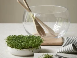 Grüne Erde Küchenaccessoires^Kresseteller aus weißem Terracotta, H 4 cm, ø 17 cm