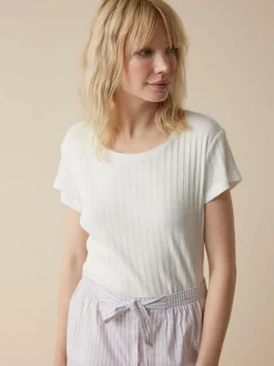 Grüne Erde Essentials|Shirts^Kurzarmshirt aus Bio Baumwolle, , XL, GOTS