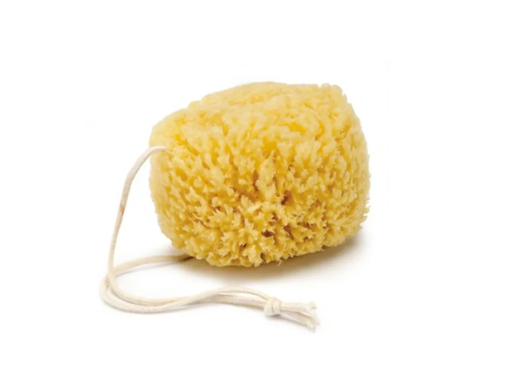 Grüne Erde Geschenke-Guide|Körperpflege^Natur Dusch & Badeschwamm aus dem Mittelmeer, ø ca. 15 cm