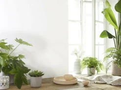 Grüne Erde Küchenaccessoires|Wohndekoration^Schale aus Zirbenholz, handgedrechselt, ø 23 cm