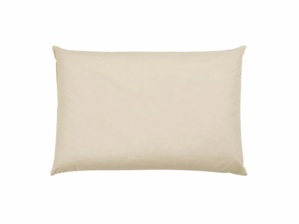 Grüne Erde Kopfkissen|Geschenke-Guide^Schlafkissen Dinkel Pur, Standard, 40 x 60 cm, GOTS, NATURTEXTIL BEST, VEGAN