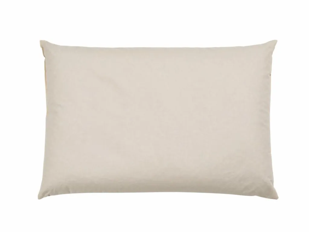 Grüne Erde Kopfkissen|Geschenke-Guide^Schlafkissen Dinkel Pur, Standard, 40 x 60 cm, GOTS, NATURTEXTIL BEST, VEGAN