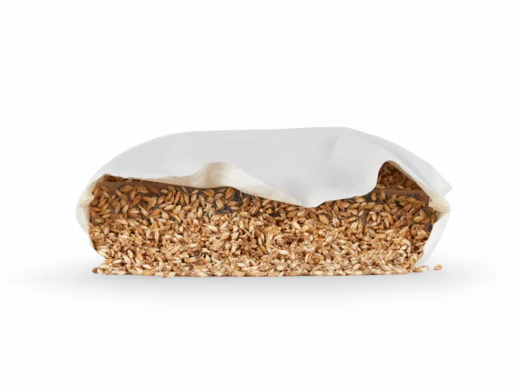 Grüne Erde Kopfkissen|Geschenke-Guide^Schlafkissen Dinkel Pur, Standard, 40 x 60 cm, GOTS, NATURTEXTIL BEST, VEGAN