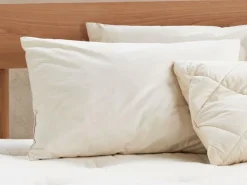 Grüne Erde Kopfkissen^Schlafkissen Hirse Pur, Standard, 40 x 60 cm, GOTS, NATURTEXTIL BEST, VEGAN