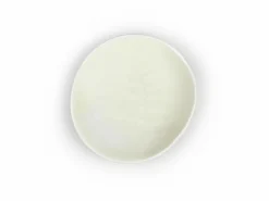 Grüne Erde Geschirr|Wohndekoration^Teller aus Porzellan mit Farn, weiß, ø 12 cm