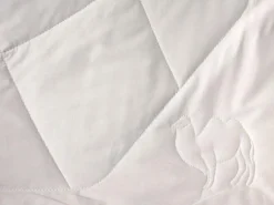 Grüne Erde Bettdecken^Winterdecke Kamelhaar, 140 x 200 cm, 535 g/m2